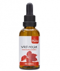ARTESANIA AGRICOLA Plantis Vid Roja / Red Vine Leaves (Tincture) / 50 ml