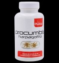 Procumbis Haspagofito | Devil's Claw